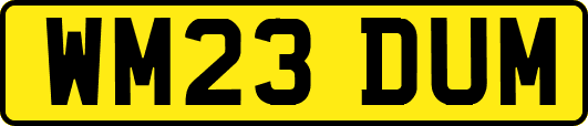 WM23DUM