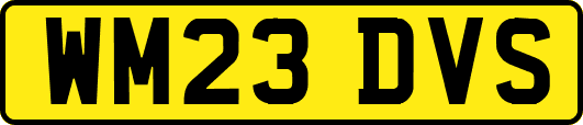 WM23DVS
