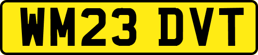 WM23DVT