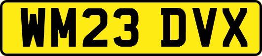 WM23DVX