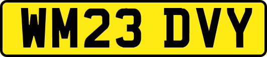 WM23DVY