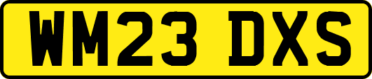 WM23DXS