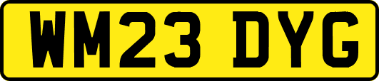 WM23DYG