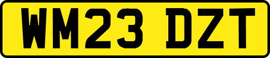 WM23DZT