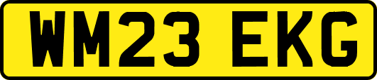 WM23EKG