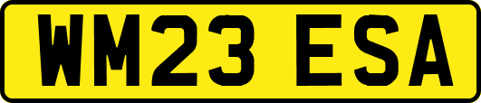 WM23ESA