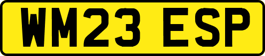 WM23ESP