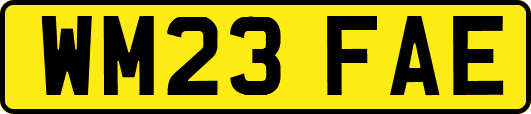 WM23FAE