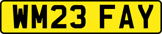 WM23FAY