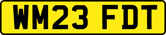 WM23FDT