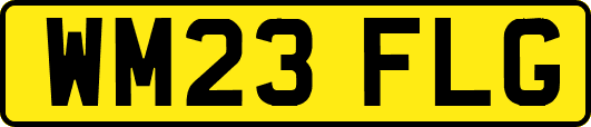 WM23FLG