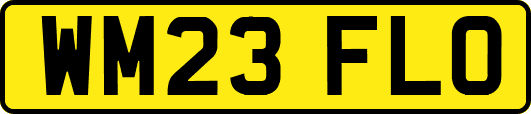 WM23FLO