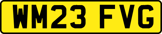 WM23FVG