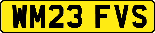 WM23FVS