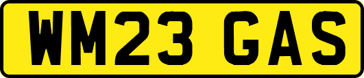 WM23GAS