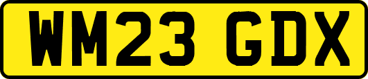 WM23GDX