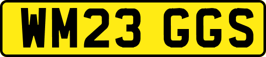 WM23GGS