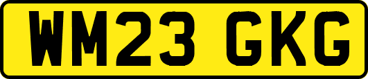 WM23GKG