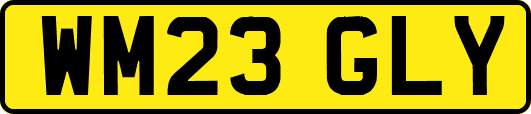 WM23GLY