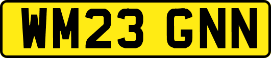 WM23GNN