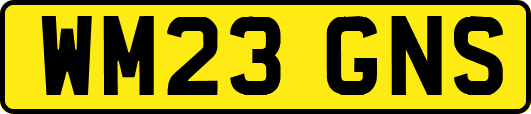 WM23GNS