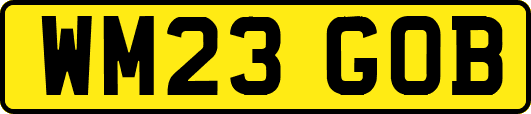 WM23GOB