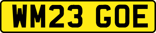 WM23GOE