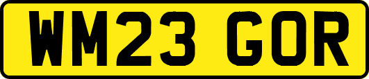 WM23GOR