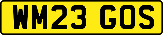 WM23GOS