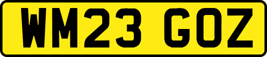 WM23GOZ