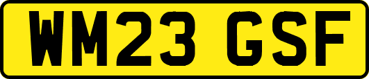 WM23GSF