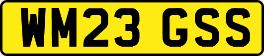 WM23GSS