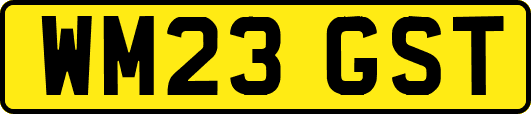 WM23GST