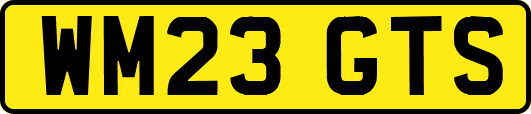 WM23GTS