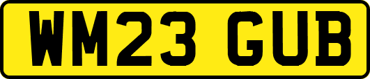 WM23GUB