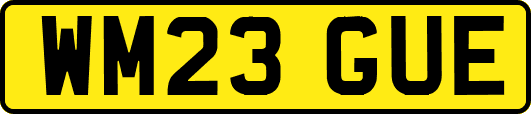 WM23GUE