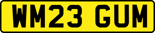 WM23GUM