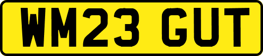 WM23GUT