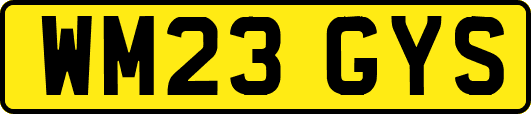 WM23GYS