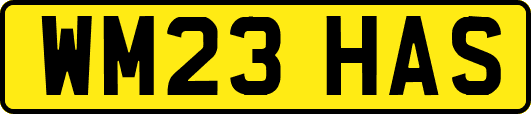 WM23HAS