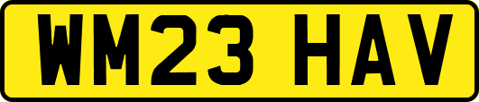 WM23HAV