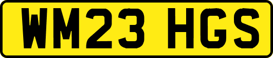 WM23HGS