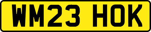 WM23HOK