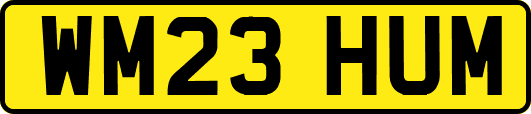 WM23HUM