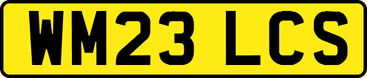 WM23LCS