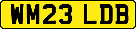 WM23LDB