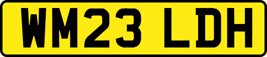 WM23LDH