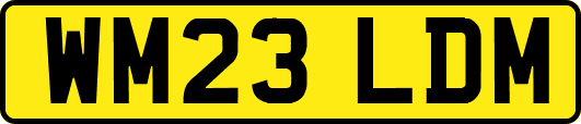 WM23LDM