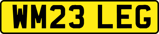 WM23LEG