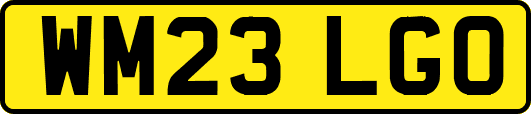 WM23LGO